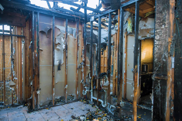Professional Odor Removal technician working in Colonial Beach, VA